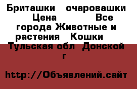 Бриташки - очаровашки.  › Цена ­ 3 000 - Все города Животные и растения » Кошки   . Тульская обл.,Донской г.